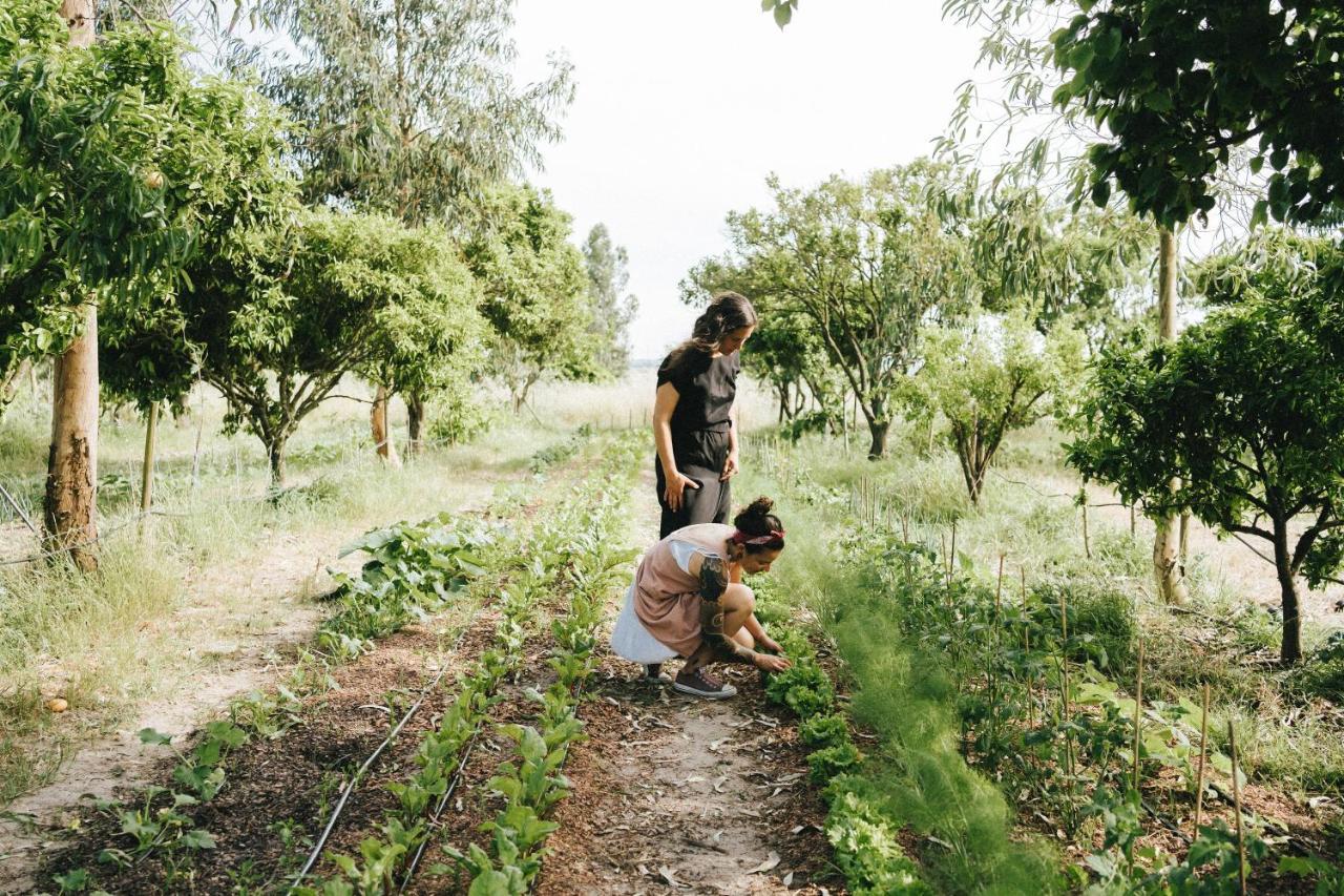 Humus Farm Villa Aguas de Moura ภายนอก รูปภาพ